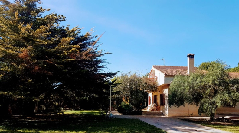 Alicante - Albatera - 2200m2