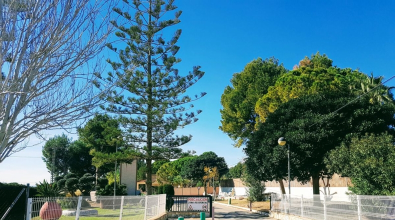 Alicante - Albatera - 2200m2