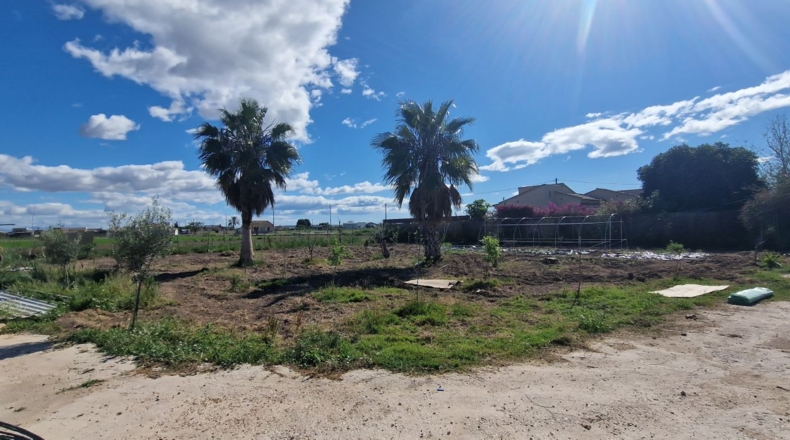 Alicante - Dolores - 5200m2