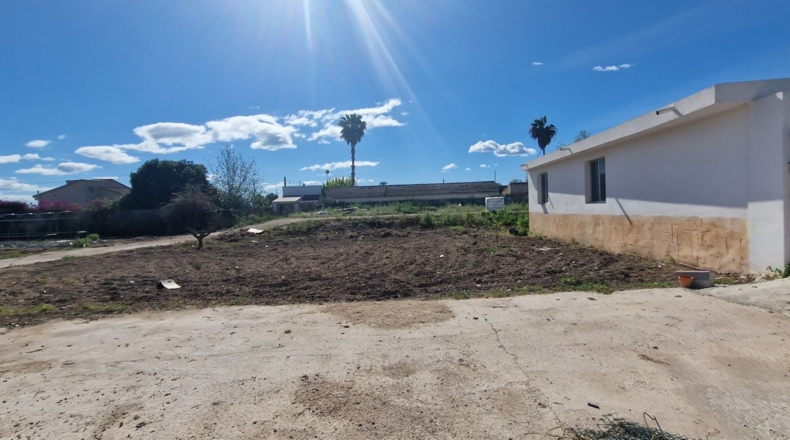 Alicante - Dolores - 5200m2