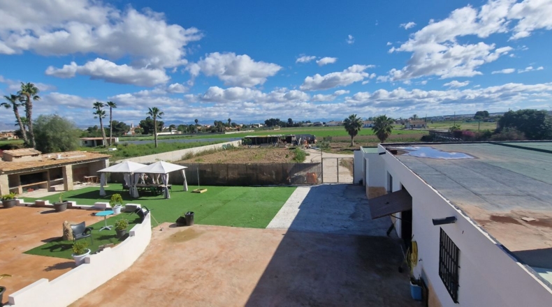 Alicante - Dolores - 5200m2