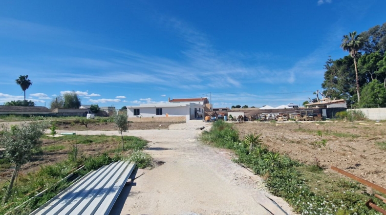 Alicante - Dolores - 5200m2
