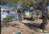 Casa de camp amb terreny en venda a Algorfa ref.: TR252857 foto