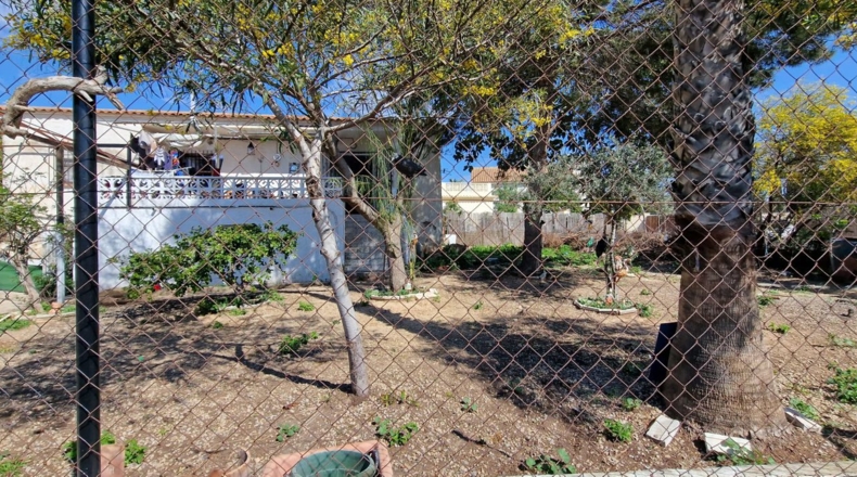 Alicante - Algorfa - 750m2