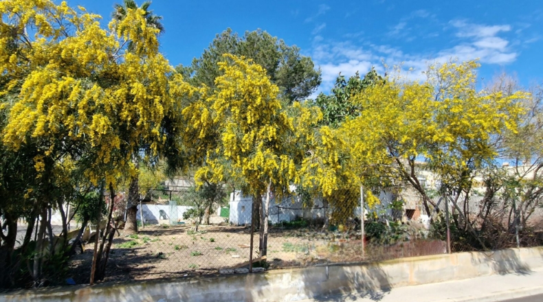 Alicante - Algorfa - 750m2
