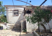 Casa de camp amb terreny en venda a Algorfa ref.: TR252857 foto