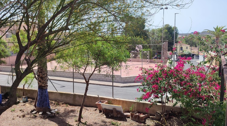 Alicante - Algorfa - 750m2