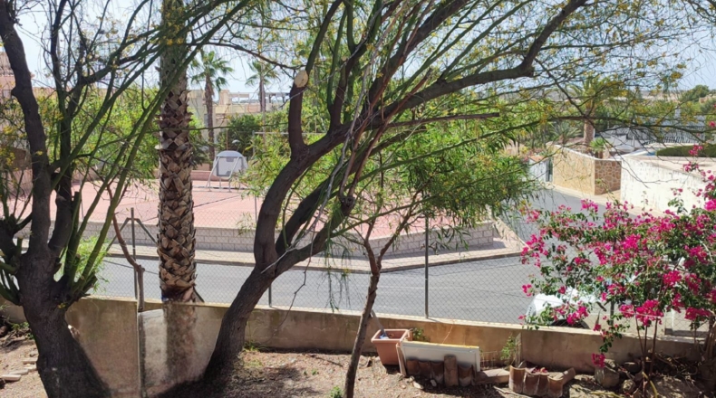 Alicante - Algorfa - 750m2