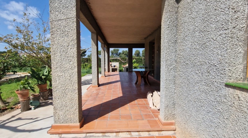 Alicante - Rojales - 2500m2