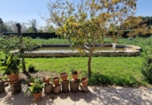 Country house with land for sale in Rojales ref: TR254567 photo