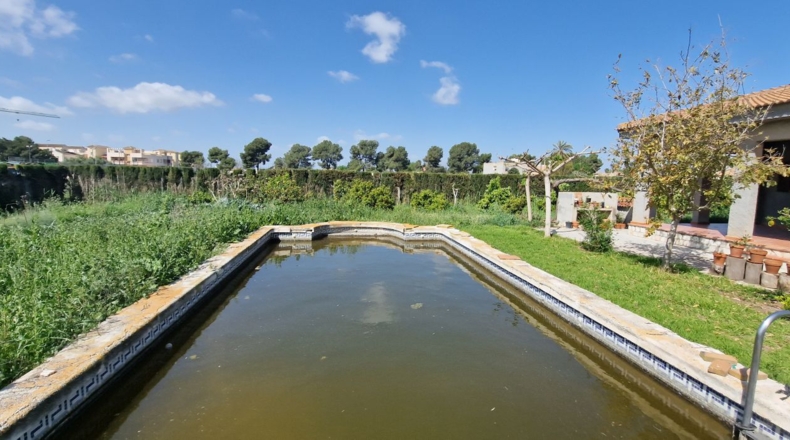 Alicante - Rojales - 2500m2