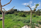 Country house with land for sale in Rojales ref: TR254567 photo