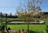 Country house with land for sale in Rojales ref: TR254567 photo