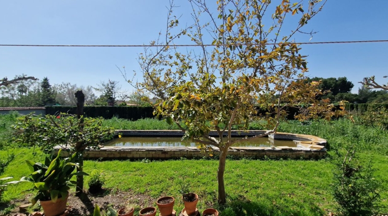 Alicante - Rojales - 2500m2