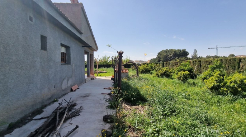 Alicante - Rojales - 2500m2