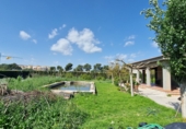Country house with land for sale in Rojales ref: TR254567 photo