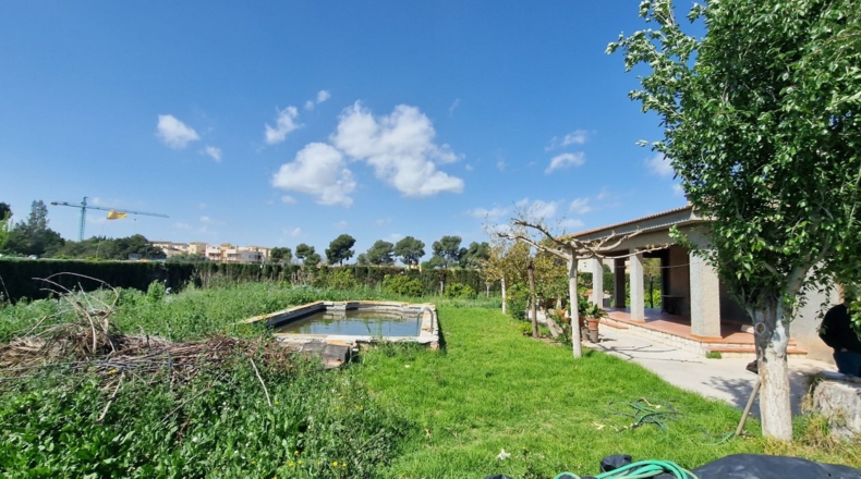 Alicante - Rojales - 2500m2