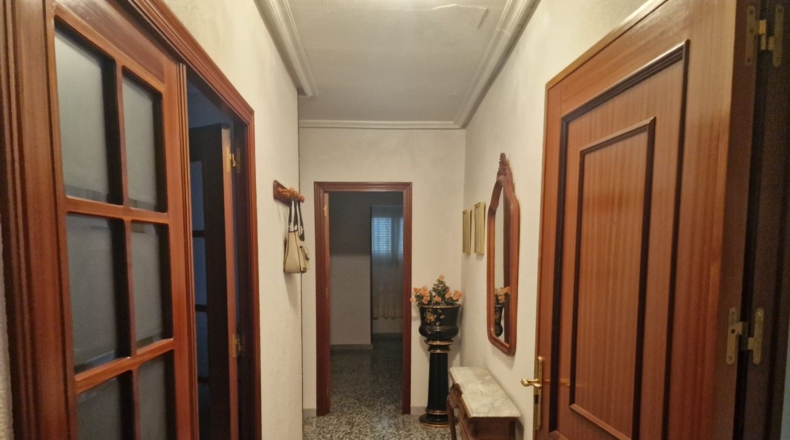 Alicante - Almoradí - 226m2