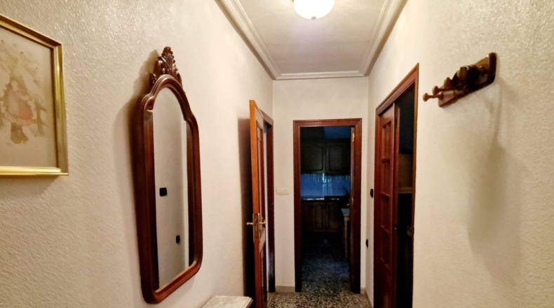 Alicante - Almoradí - 226m2