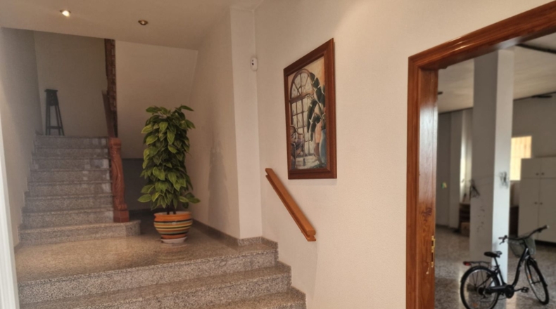 Alicante - Formentera del Segura - 370m2