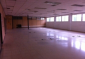 Industrial warehouse for rent in Sant Joan Despí ref: TR284880 photo
