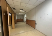Industrial warehouse for rent in Sant Joan Despí ref: TR284880 photo