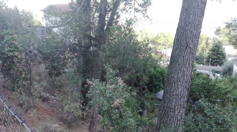 Barcelona - Corbera de Llobregat - 597m2