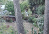 Urban land for sale in Corbera de Llobregat ref: TR54368 photo