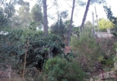 Urban land for sale in Corbera de Llobregat ref: TR54368 photo