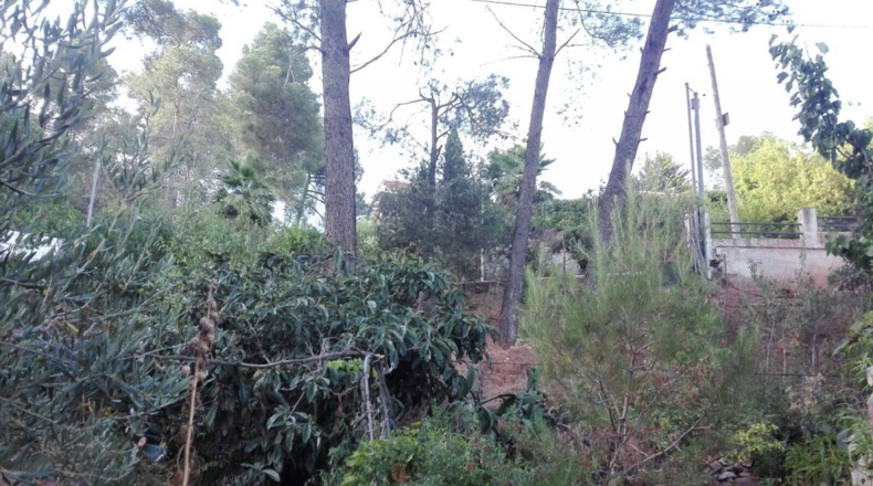 Barcelona - Corbera de Llobregat - 597m2
