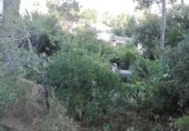 Urban land for sale in Corbera de Llobregat ref: TR54368 photo