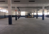 Industrial warehouse for sale in Sant Just Desvern ref: TR199567 photo