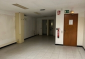 Industrial warehouse for rent in Cornellà de Llobregat ref: TR284863 photo