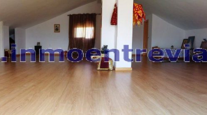 Murcia - Murcia - 935m2