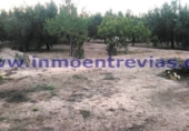 Terreno no urbanizable en venta en Alhama de Murcia ref: TR36551 foto