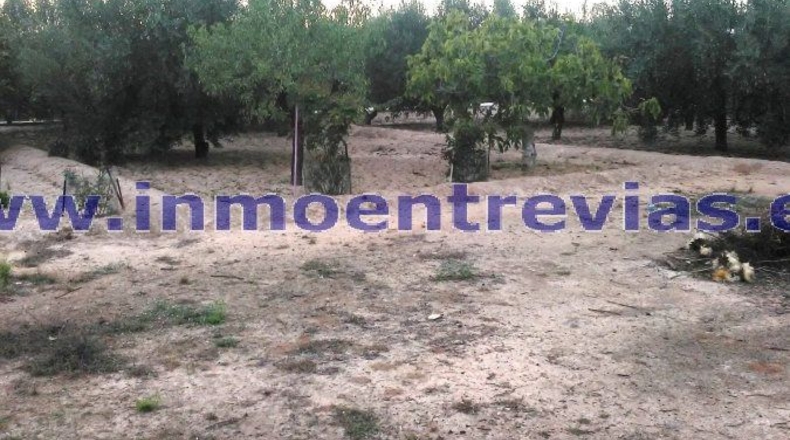 Murcia - Murcia - 2384m2