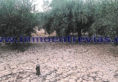 Terreno no urbanizable en venta en Alhama de Murcia ref: TR36551 foto