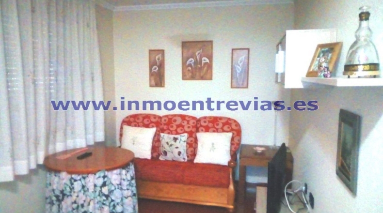 Murcia - Murcia - 15000m2
