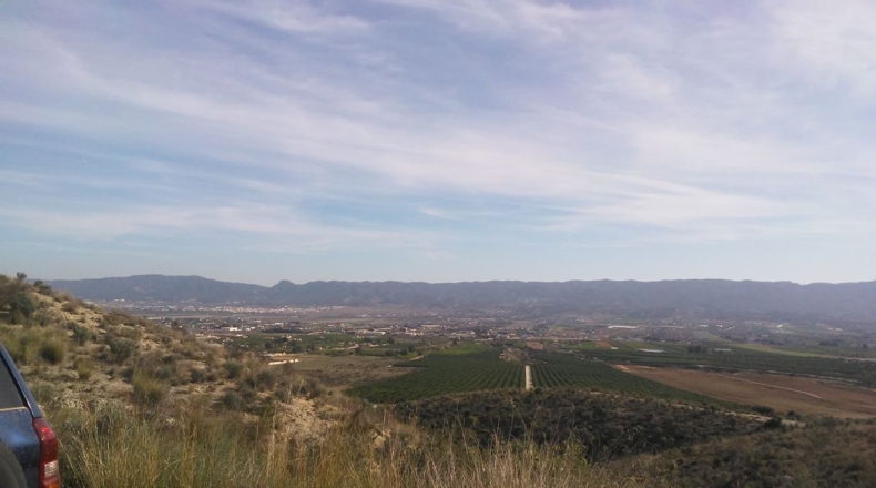 Murcia - Murcia - 2000m2