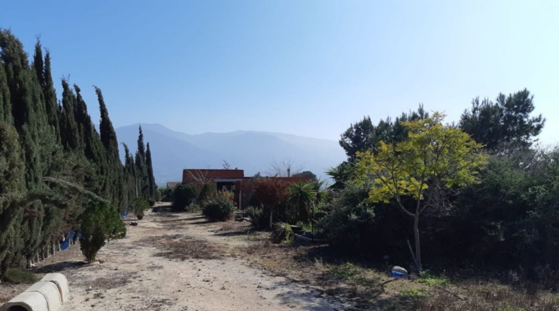 Murcia - Librilla - 4500m2