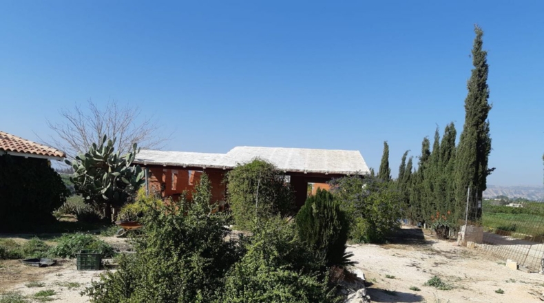 Murcia - Librilla - 4500m2