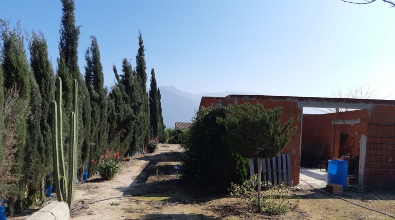 Murcia - Librilla - 4500m2