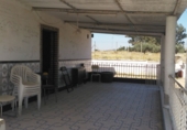 Rural estate for sale in Alcantarilla ref: TR15819 photo