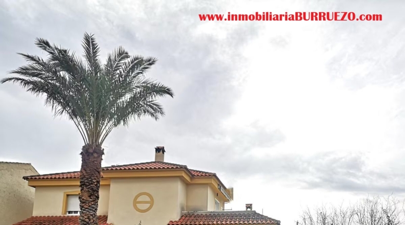 Murcia - Murcia - 500m2