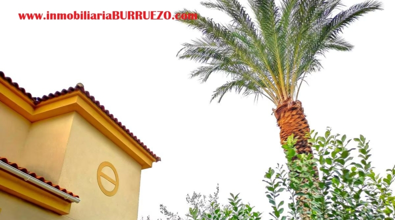 Murcia - Murcia - 500m2
