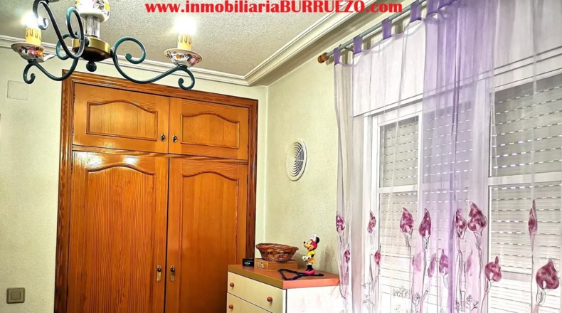 Murcia - Murcia - 500m2