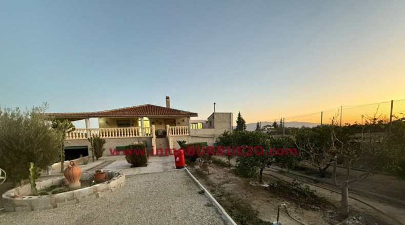 Murcia - Alcantarilla - 1200m2