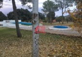 Terreny no urbanitzable en venda a la España, Padul, ref.: TR54358 foto