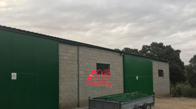 Granada - Padul - 450000m2