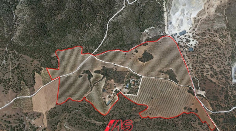 Granada - Padul - 450000m2